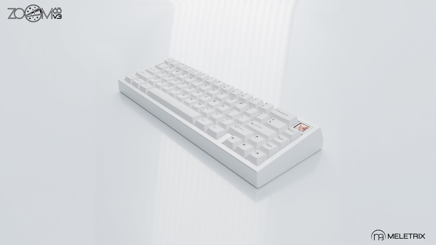 ZOOM65v3