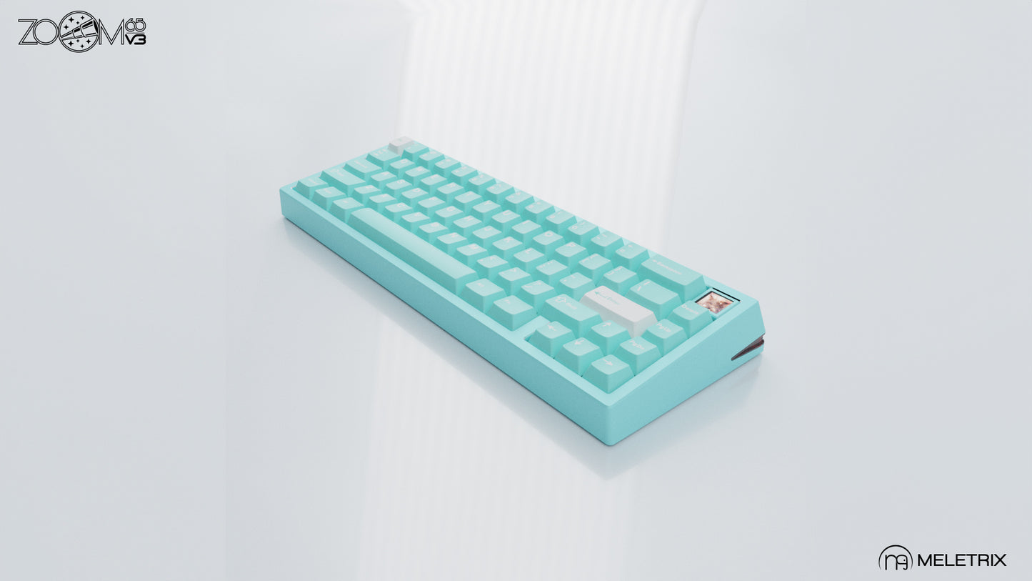ZOOM65v3