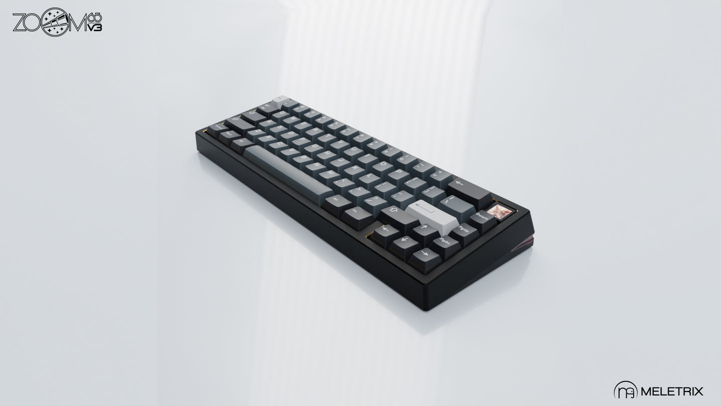 ZOOM65v3