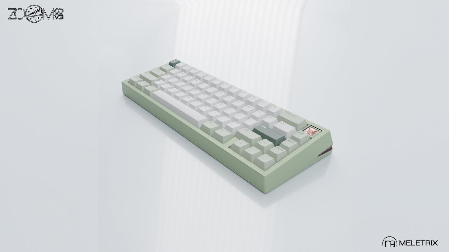 ZOOM65v3