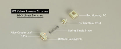 WS AROWANA SWITCH SERIES
