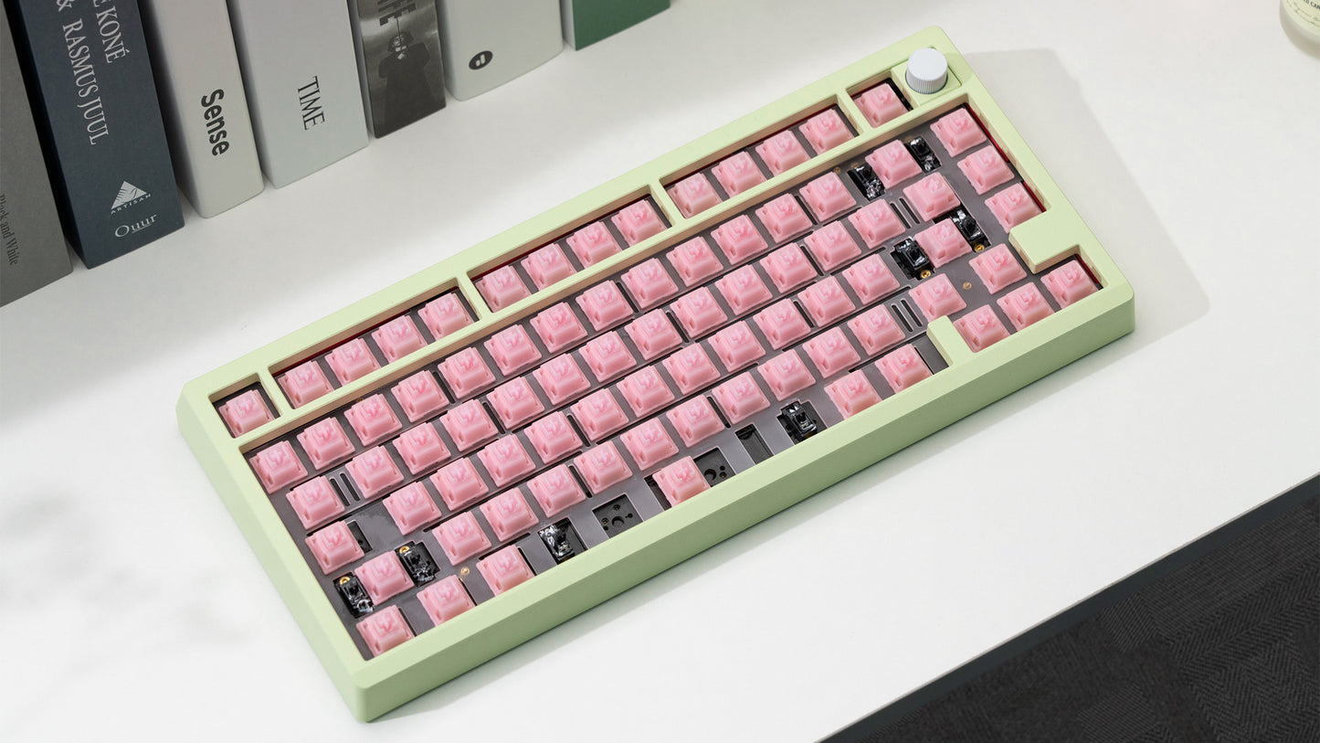 WS PEARL SWITCH