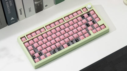 WS PEARL SWITCH