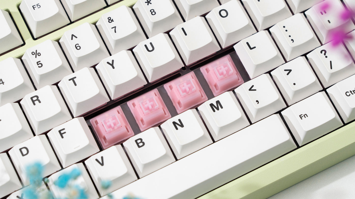 WS PEARL SWITCH